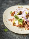 Rustic mexican american pulled pork tacos