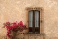 Rustic Mexican window with red Bougainvillea flowers Royalty Free Stock Photo