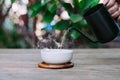 Rustic morning tea, Pouring tea onto the teacup