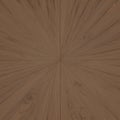 Rustic neutral plank creative warm concept oak model blurred Royalty Free Stock Photo