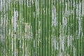 Rustic Old Corrugated Iron Sheet Painted in Green Texture Royalty Free Stock Photo