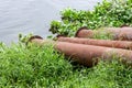 Rustic old dredging pipes stored near the riverbank close up shot Royalty Free Stock Photo