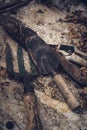 Rustic old gardening tools on texture Royalty Free Stock Photo