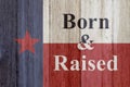 A rustic old Texas message Royalty Free Stock Photo