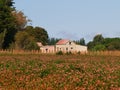 Rustic old wooden farm building across field of wildflowers Royalty Free Stock Photo