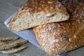 Rustic organic Nordic bread with large holes