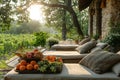 Rustic outdoor lounging area with fruits and overlooking a vineyard at sunset., Generated AI Royalty Free Stock Photo
