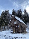 Rustic outhouse framed by trees with a clear sky backdrop Royalty Free Stock Photo