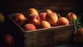 Rustic peach basket holds juicy organic fruit for healthy eating generated by AI