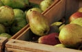 Rustic pears in a wooden box in the market Royalty Free Stock Photo