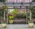 Rustic pergola with bench and flower pots under blossoming cherry tree Royalty Free Stock Photo