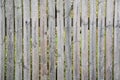 A rustic picket fence. Gray old rotten fence.