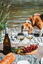 Rustic picnic on the coast with two wine glasses, bottle, baguette and cheese. Rest with dog. Royalty Free Stock Photo