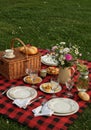 Rustic Picnic on Red Plaid Blanket Outdoors Royalty Free Stock Photo