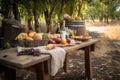 a rustic picnic table with a basket of freshly picked fruits, cheeses, and wines for two
