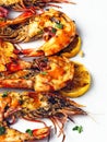 Rustic piri-piri grilled prawn Royalty Free Stock Photo