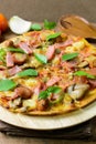 Rustic pizza with becon, salami, mozzarella and basil Royalty Free Stock Photo