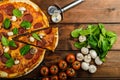 Rustic pizza with salami, mozzarella and spinach Royalty Free Stock Photo