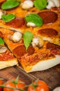 Rustic pizza with salami, mozzarella and spinach Royalty Free Stock Photo