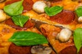 Rustic pizza with salami, mozzarella and spinach Royalty Free Stock Photo