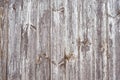 Rustic plank fence brown old bark wood textured photo. Abstract background Image. Tonid. Copy space Royalty Free Stock Photo