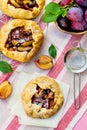 Rustic plum tart pie galette Royalty Free Stock Photo