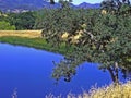 A Rustic Pool