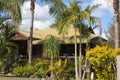 A rustic Queensland house built of natural wood with an unusual green tin roof and shrouded in tropical foliage