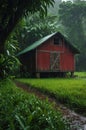 Red Barn in the Rain, Lush Green Field, Rural Scene Royalty Free Stock Photo