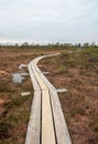 Rustic Respite: Traverse the Wooden Walkway Through the Mysterious Swamp