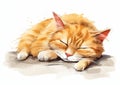 Rustic Rest: A Ginger Kitten\'s Peaceful Slumber on a Bright Napa