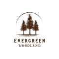 Rustic retro vintage woodland, evergreen, pines, spruce, cedar trees logo design Premium Vector