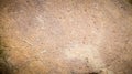 Rustic rough stone grungy rock surface for texture background Royalty Free Stock Photo