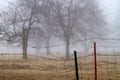 Rustic rural fence and posts in winter fog in the country Royalty Free Stock Photo