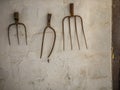 Rustic Rusted Pitchforks