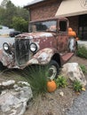 Rustic Rusty Peeling Paint Old Vintage Pickup Truck for Fall Pumpkin Display