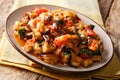 Rustic salad of fried eggplant, tomato and garlic with spices an