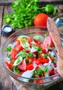 Rustic salad of tomatoes, cucumbers, white onion, red pepper, parsley, seasoned oliveovym oil and balsamic vinegar. Royalty Free Stock Photo