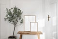 Rustic Scandinavian interior, Living room, hall in old house with wooden bench. Two picture frame mockups in sunlight Royalty Free Stock Photo