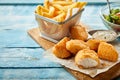 Rustic serving of crumbed fried kibbeling Royalty Free Stock Photo