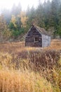 Rustic shed. Royalty Free Stock Photo