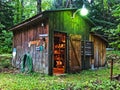 Rustic shed in woods Royalty Free Stock Photo