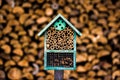 Rustic shelter for mason bees - DIY hive bee house