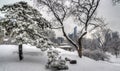 Rustic Shelter after snow storm Royalty Free Stock Photo