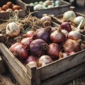 This rustic shot captures a wooden crate brimming with freshly harvested onions