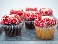 Rustic silver tray filled with chocolate and vanilla cupcakes covered in frosting, red, white and pink sprinkles taken straight on Royalty Free Stock Photo