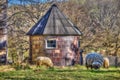 Rustic small brick house with sheep grazing in the green field