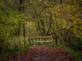 Rustic small bridge in the woods in North Devon, England. Autumn. Royalty Free Stock Photo