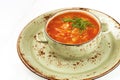 Traditional Russian soup with cabbage - sauerkraut soup Royalty Free Stock Photo