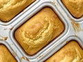 Rustic southern american corn bread Royalty Free Stock Photo